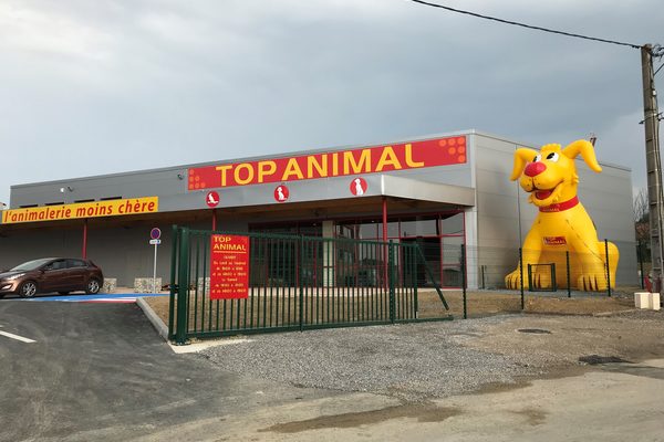 Mega Top Animal gele hond mascotte bestellen. Koop opblaasbare blow-ups online bij JB Inflatables Nederland