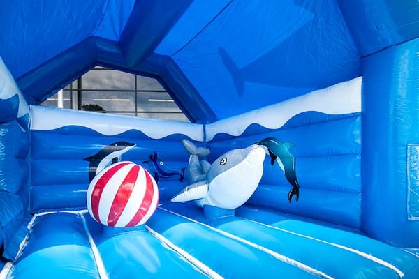 Overdekt multifun blauw springkasteel met glijbaan in dolfijn thema met bovenop grote 3D objecten kopen voor kinderen. Bestel springkastelen online bij JB Inflatables Nederland