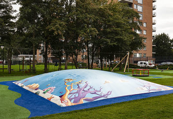 Maatwerk Seaworld thema airmountain opblaasbaar voor kids bestellen bij JB Inflatables Nederland. Koop opblaasbare springbergen nu online bij JB Inflatables Nederland