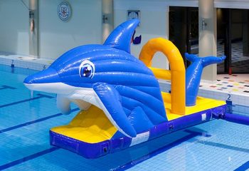 Opblaasbare waterstormbaan huren in dolfijn thema voor kinderen