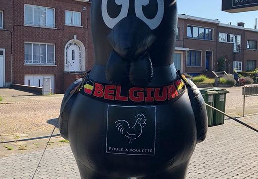 Grote opblaasbare Poule en Poulette zwarte kip mascotten kopen. Haal uw opblaasbare productvergrotingen nu online bij JB Inflatables Nederland 