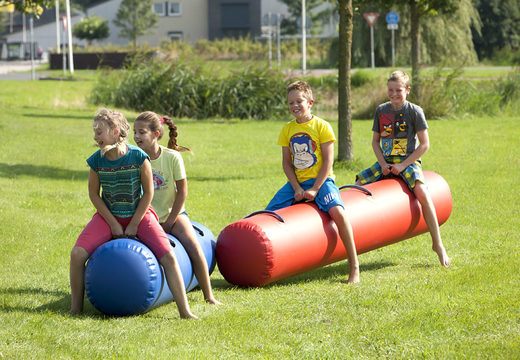 Blauwe en rode springslangen voor zowel oud als jong kopen. Bestel springkussens online bij JB Inflatables Nederland