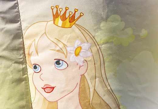 Klein overdekt multifun springkussen te koop in thema prinses voor kinderen. Koop springkussens online bij JB Inflatables Nederland