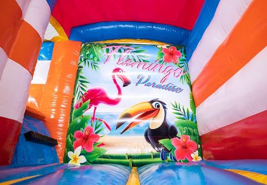 Multifunctioneel mini splash flamingo springkasteel bestellen bij JB Inflatables Nederland. Koop springkastelen online bij JB Inflatables Nederland