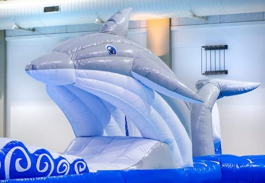 Opblaasbare waterstormbaan 16 meter in dolfijn thema huren voor kinderen