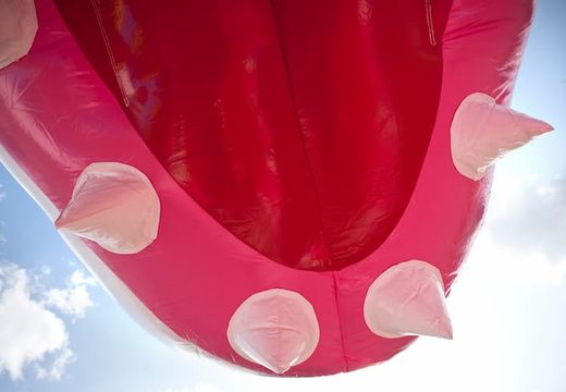 Koop middelmatig opblaasbare multiplay springkasteel in shark thema met glijbaan voor kinderen. Bestel opblaasbare springkastelen online bij JB Inflatables Nederland