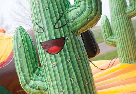 Cactus detail op opblaasbare trekrodeo